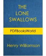 The Lone Swallows